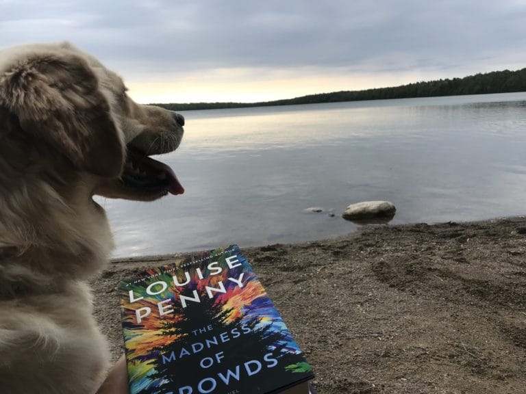 The disability camp that started a revolution | Christian Courier