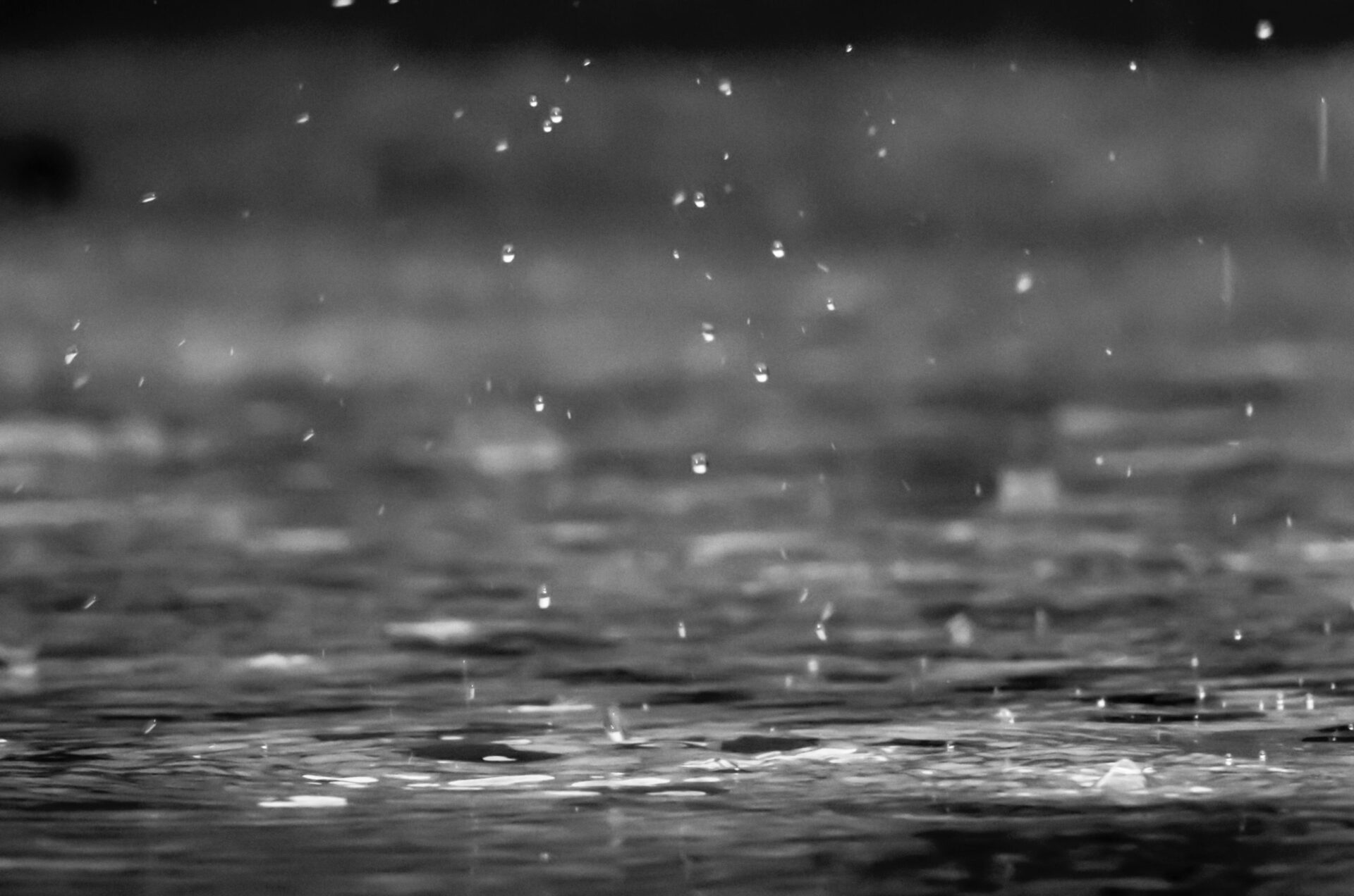 The Grace Of Rain Christian Courier the-grace-of-rain-christian-courier